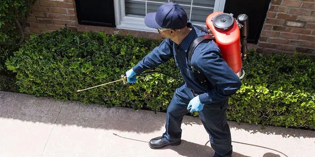 CURA Termite and Pest Control
