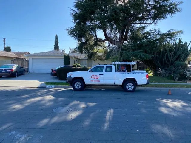 Dewey Pest & Termite Control