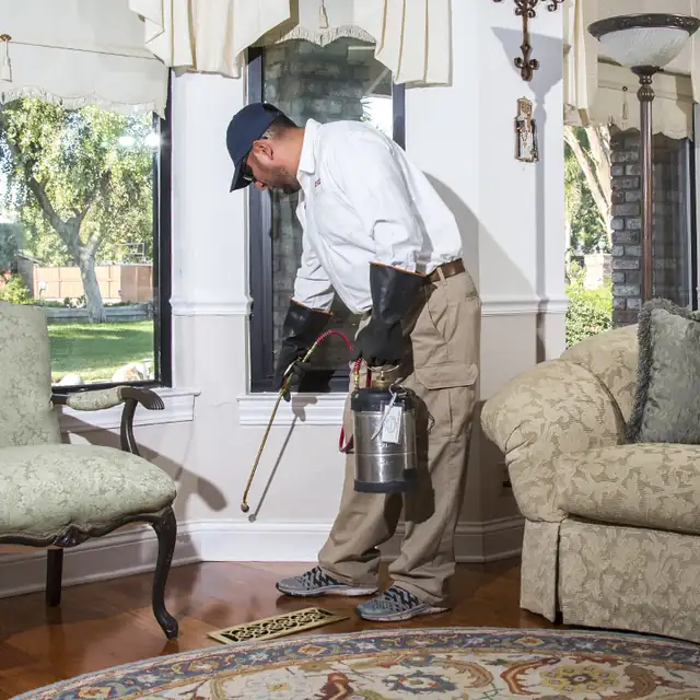 Discovery Pest Control