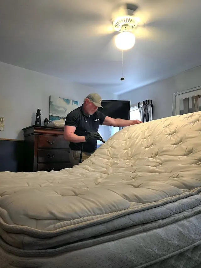 Discreet Bed Bug Removal and Pest Control