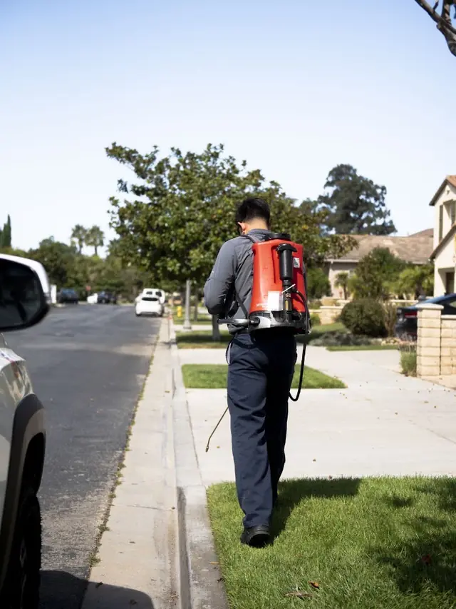 DM Termite and Pest Control