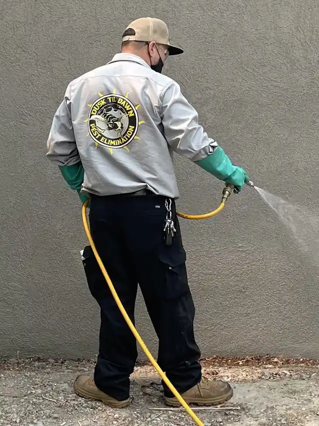 Dusk Til Dawn Pest Elimination