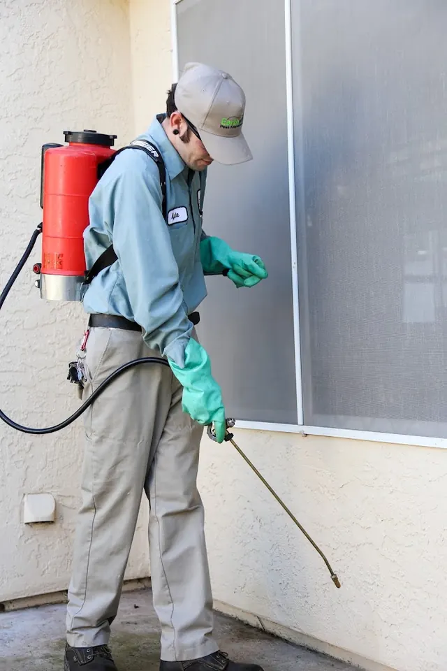 Earthwise Pest Management