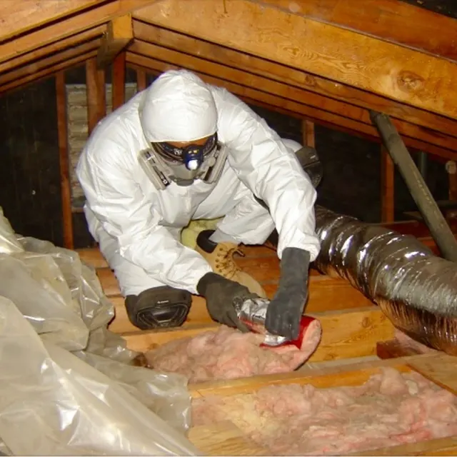 Easy Bay Rodent Proofing