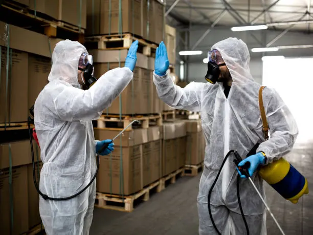 Eco Francisco Pest Control Experts