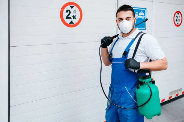 Eco Francisco Pest Solutions