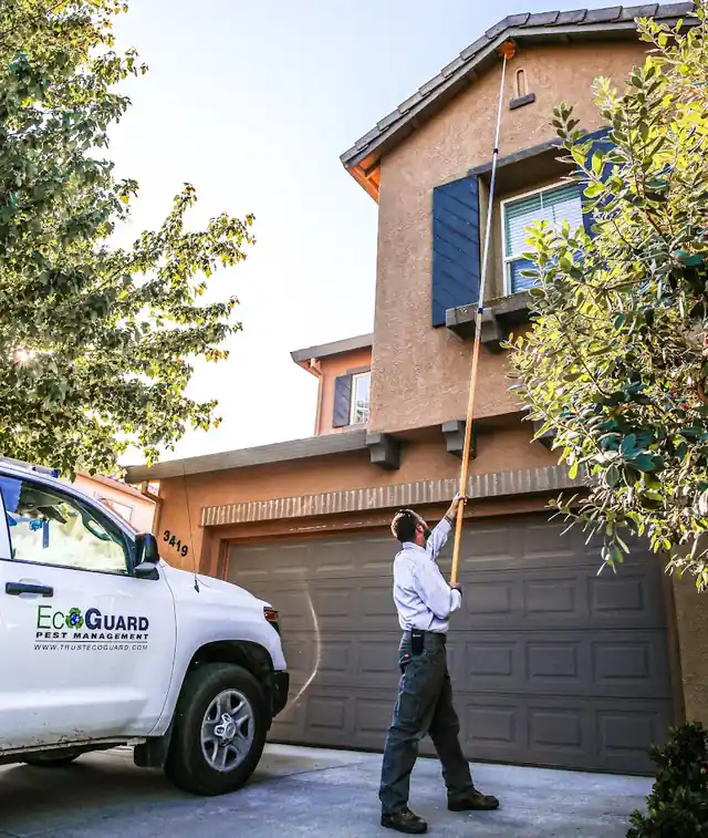 EcoGuard Pest Management