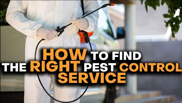 Ecola Termite and Pest Control Services
