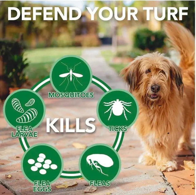EcoPest Solutions