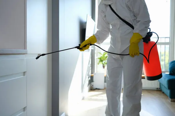 Elite Pest Control South Gate