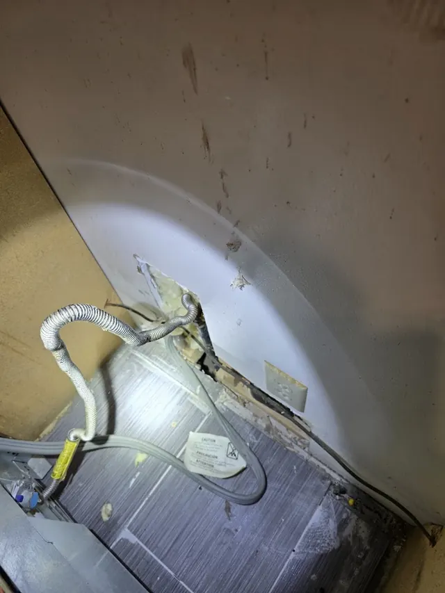 Elite Pest Elimination