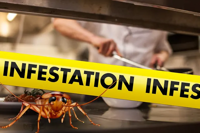 Elk Grove Exterminators