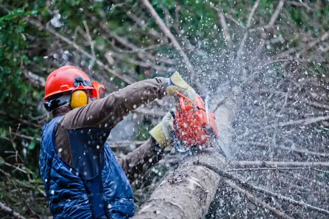 Elk Grove Tree Pros