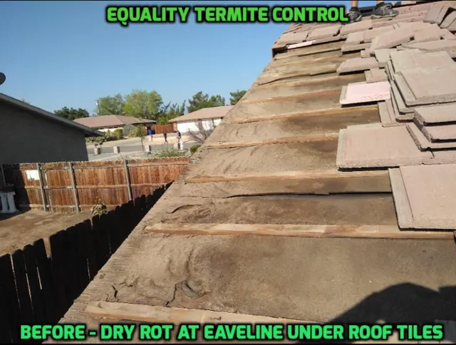 Equality Termite Control