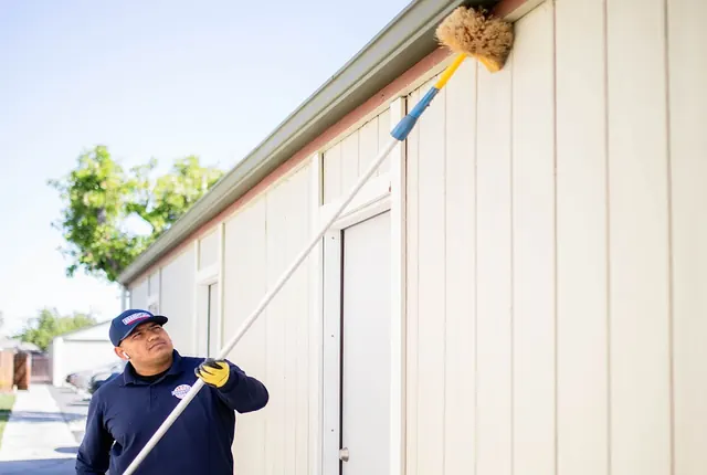 Essential Pest Control