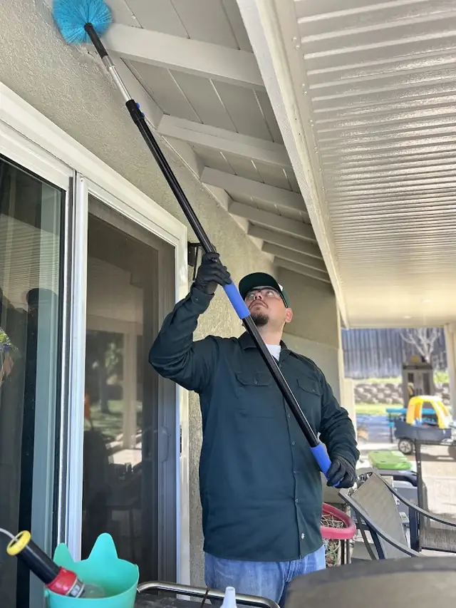 ESSENTIAL PEST MANAGEMENT