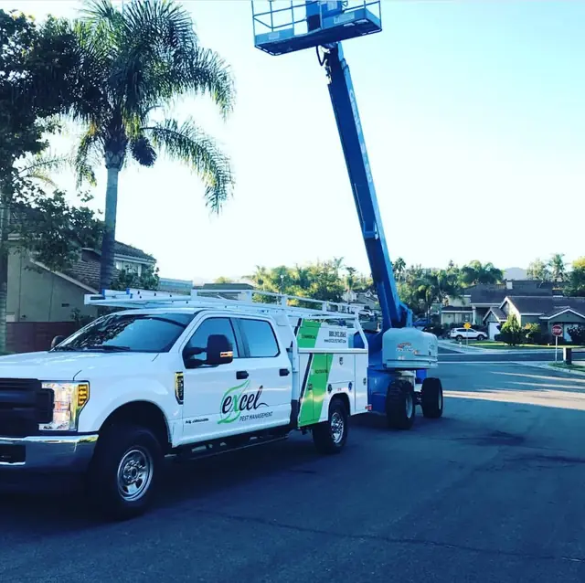 Excel Pest Management