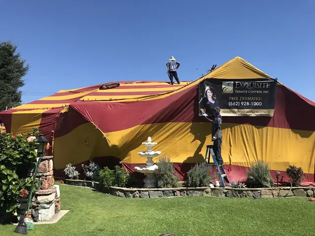 Exquisite Termite Control Inc.