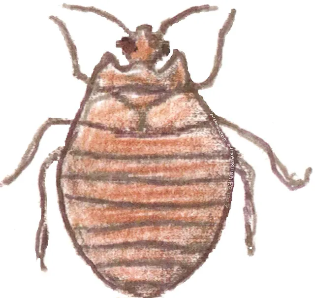 Exterminator Extraordinaire