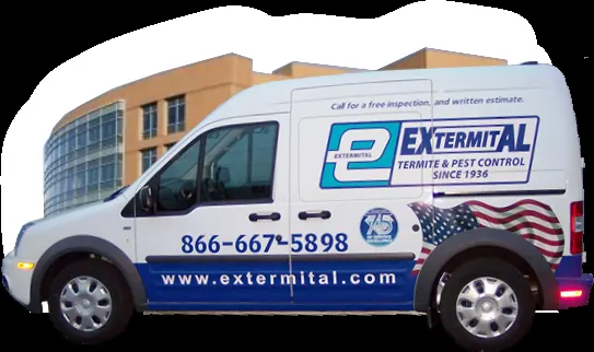 Extermital Termite & Pest Control