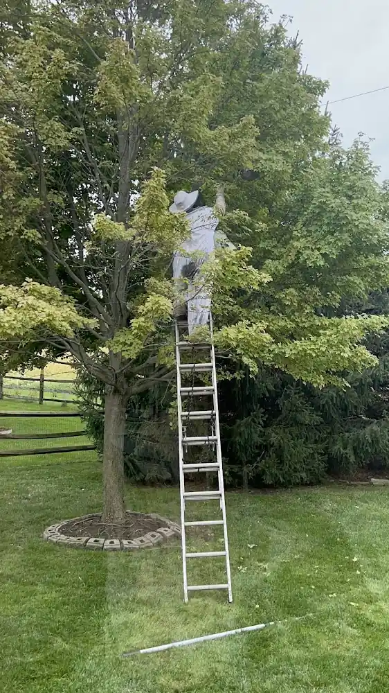 Frame's Pest Control, Inc.