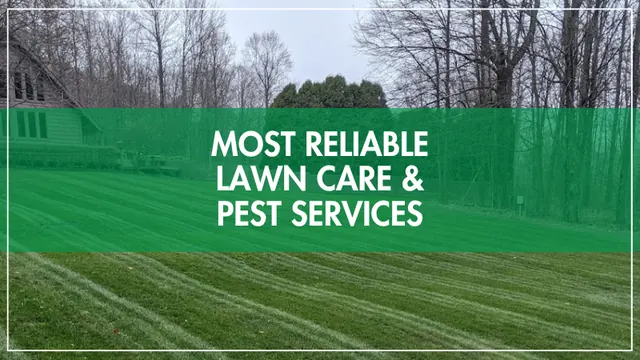 Free Spray Lawn Care