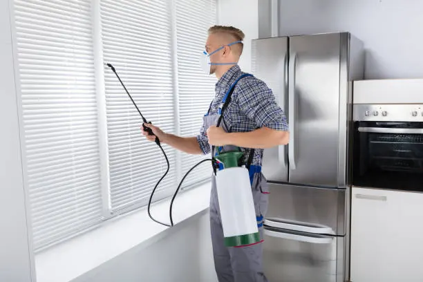 Fresh Hayward Pest Control