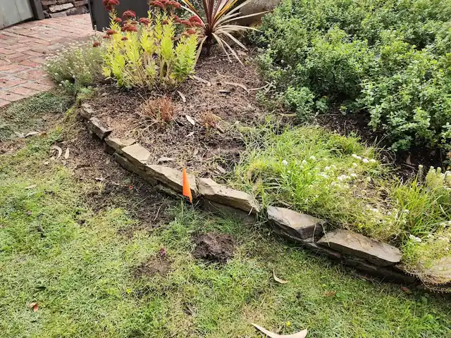 Garden Guardian