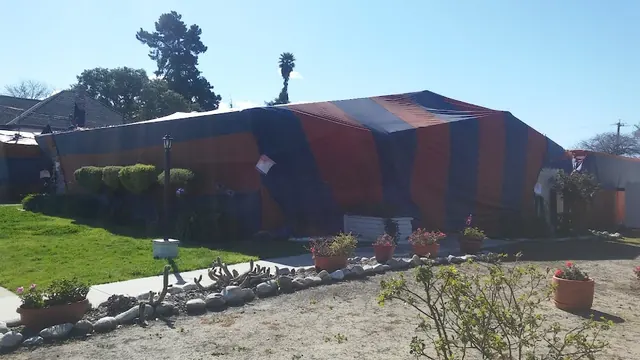 Gators Inc