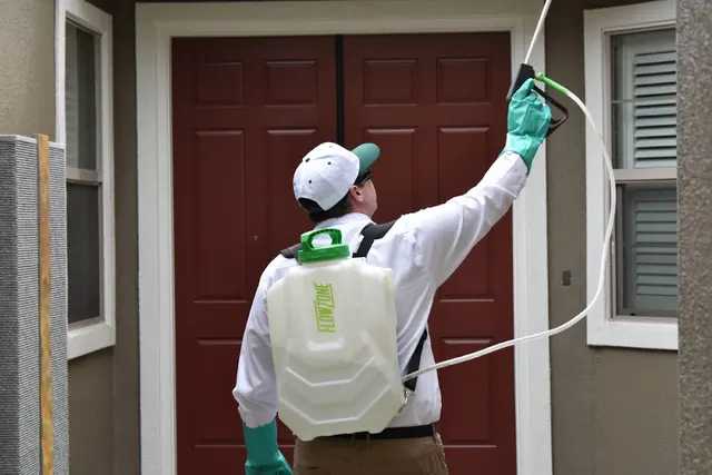 Gecko Pest Control