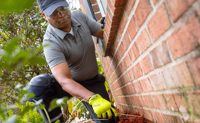 General Pest Control