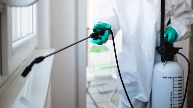 Global Rodent & Pest Services Bakersfield