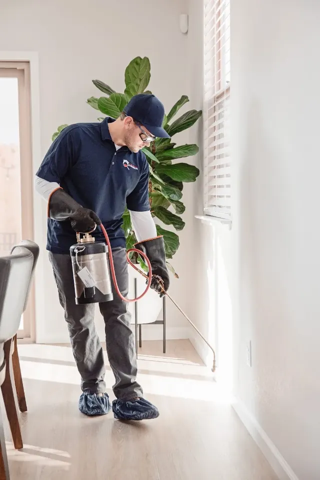 Good Life Pest Solutions
