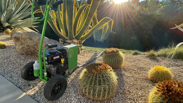 Gopher Control and Pest Removal