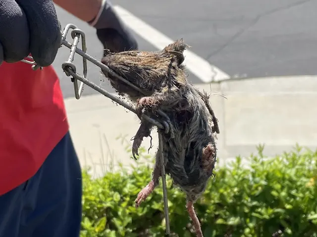 Gopher Stop