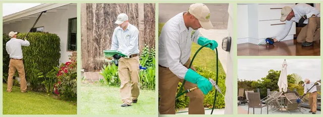 Green Flash Pest Control