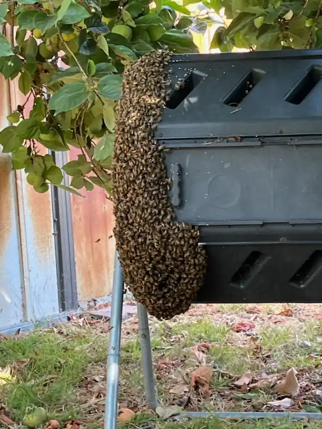 Green Planet Pest Management Inc