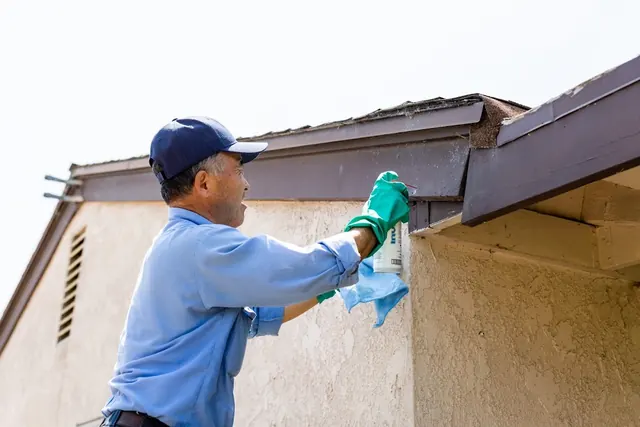 Green Termite & Pest Control