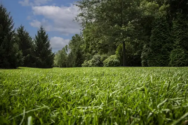 Grunder Green