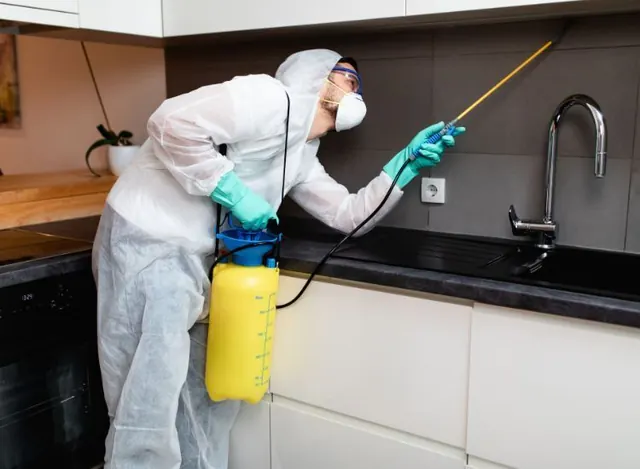 High Rock Pest Control