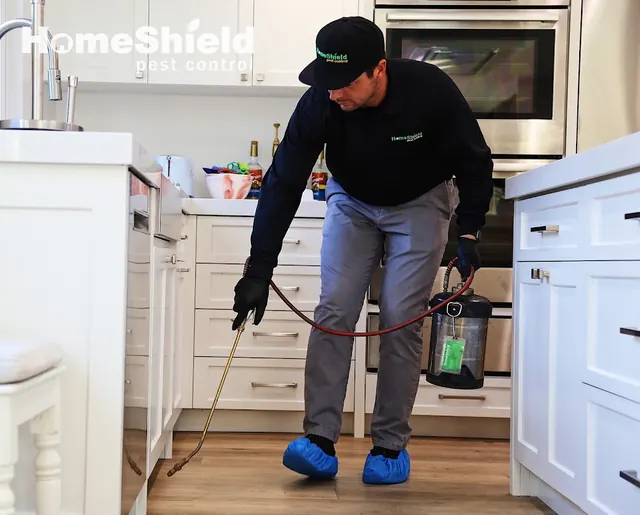 HomeShield Pest Control