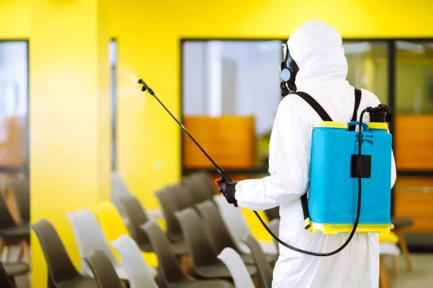 House Pest Treatment Beach
