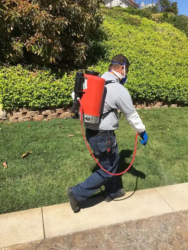 Insight Pest Management