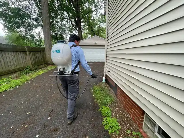 Insight Pest Solutions