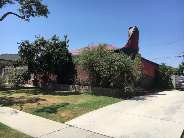 Intensive Pest Control