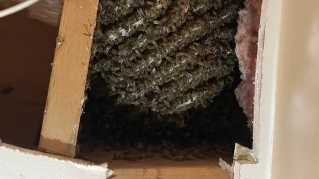 Jacob’s Beekeeping & Removal LLC