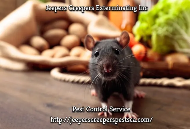 Jeepers Creepers Exterminating Inc