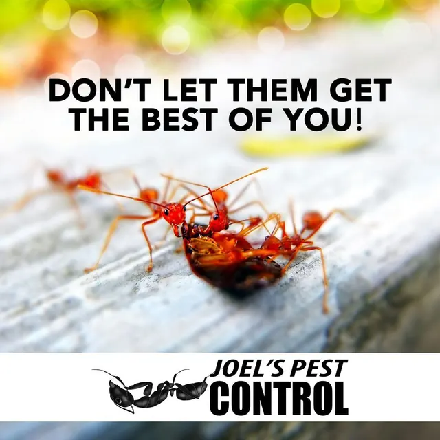 Joel's Pest Control