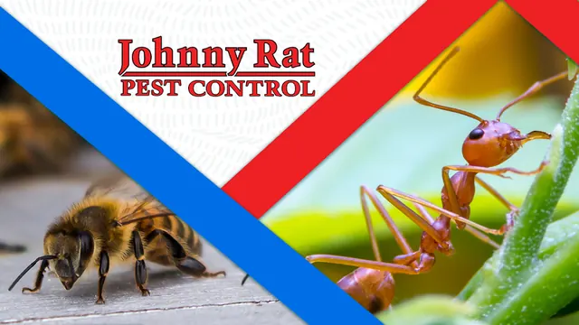 Johnny Rat Pest Control