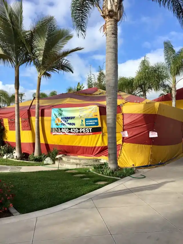 Kennedy Pest Control, Inc.
